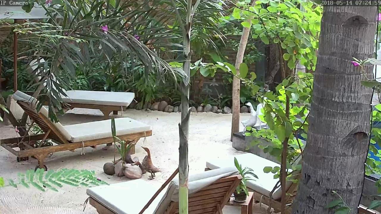 Villas Light House - Eco-Traditional Joglo Gili Trawangan Extérieur photo