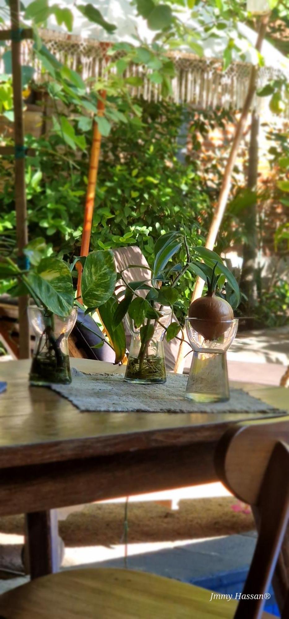 Villas Light House - Eco-Traditional Joglo Gili Trawangan Extérieur photo