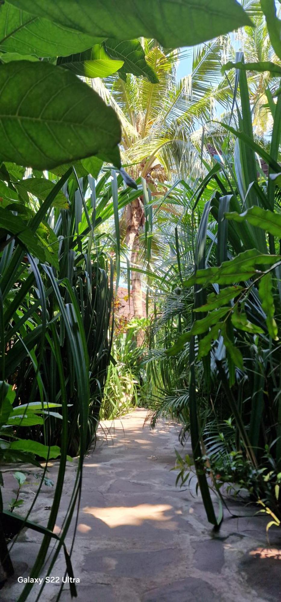 Villas Light House - Eco-Traditional Joglo Gili Trawangan Extérieur photo